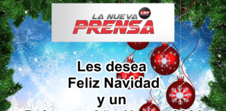EDITORIAL DE NAVIDAD